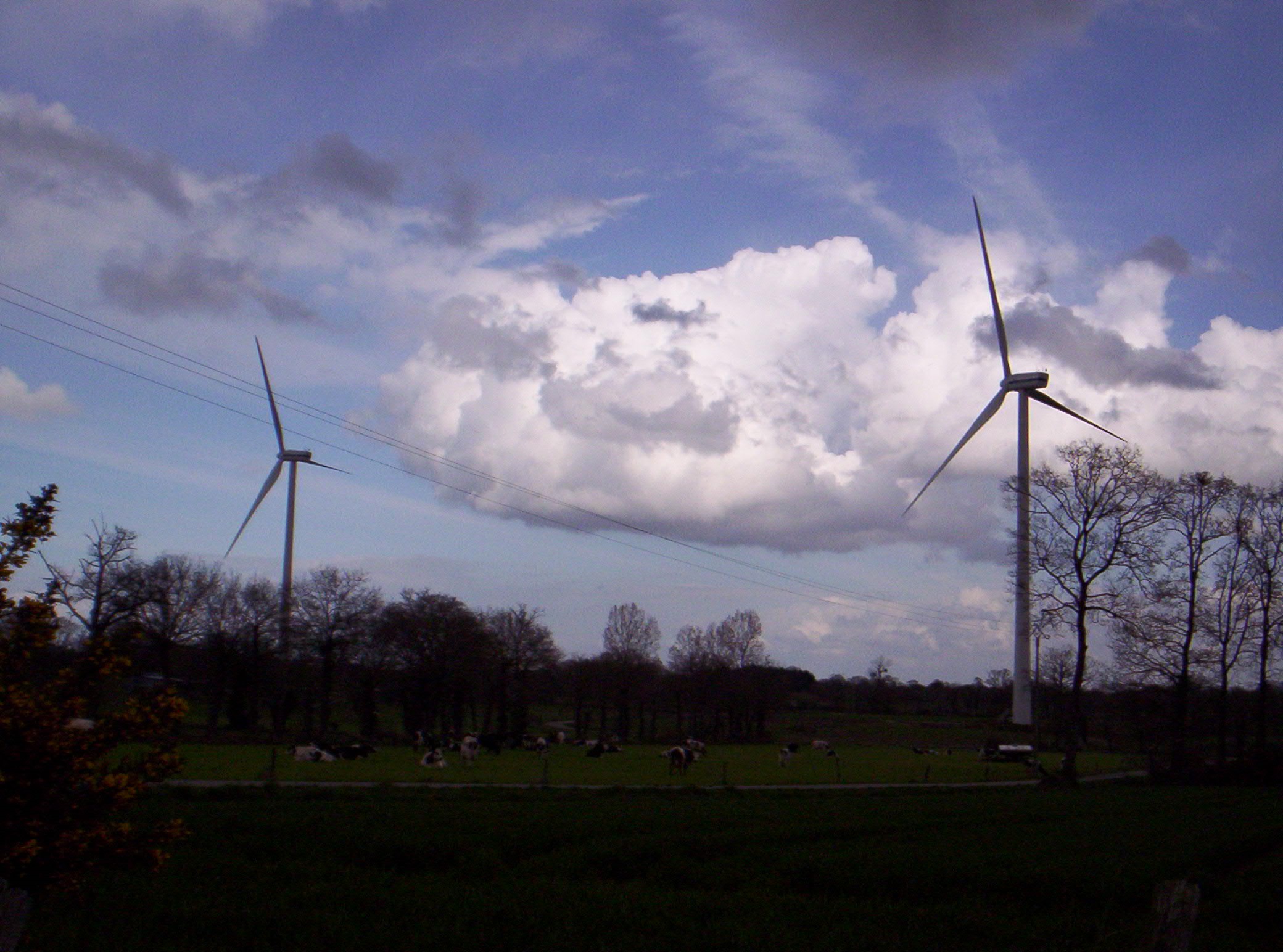 Trémeheuc_éolienne