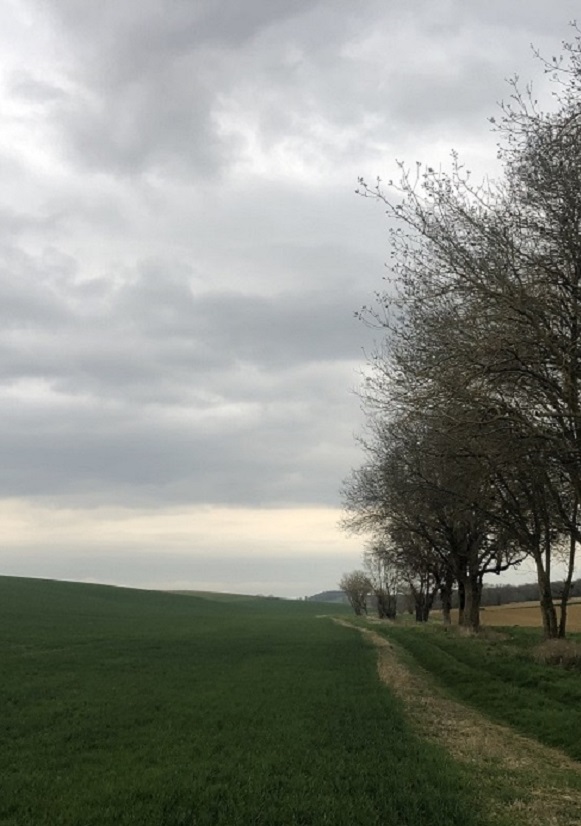 Centrale de Lalanne