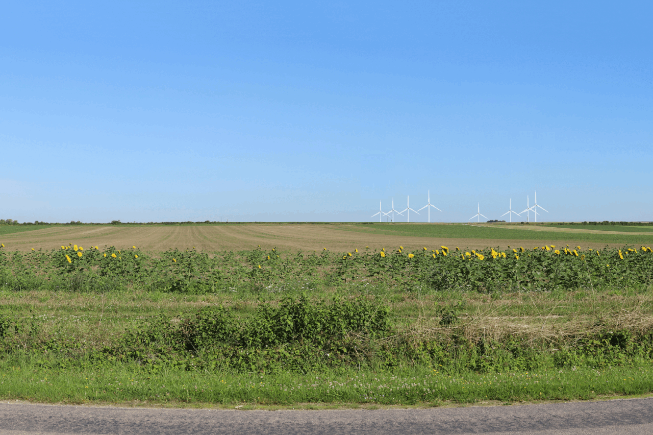 Image1