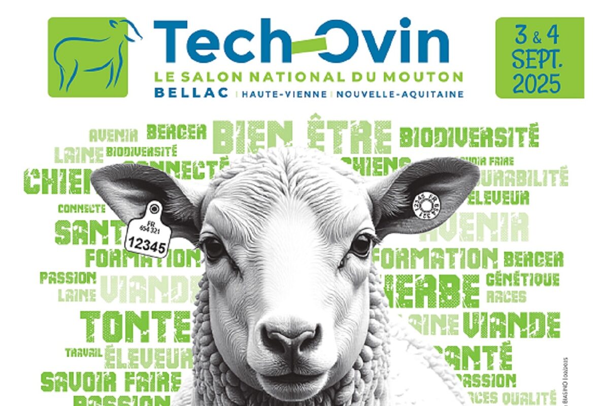 Nouvergies présent à Techovin 2025