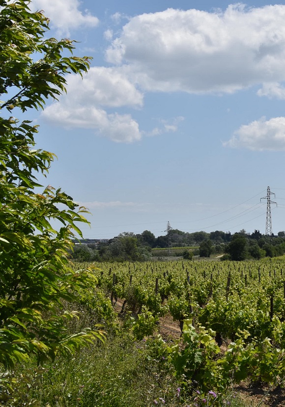 Centrale de Lespignan