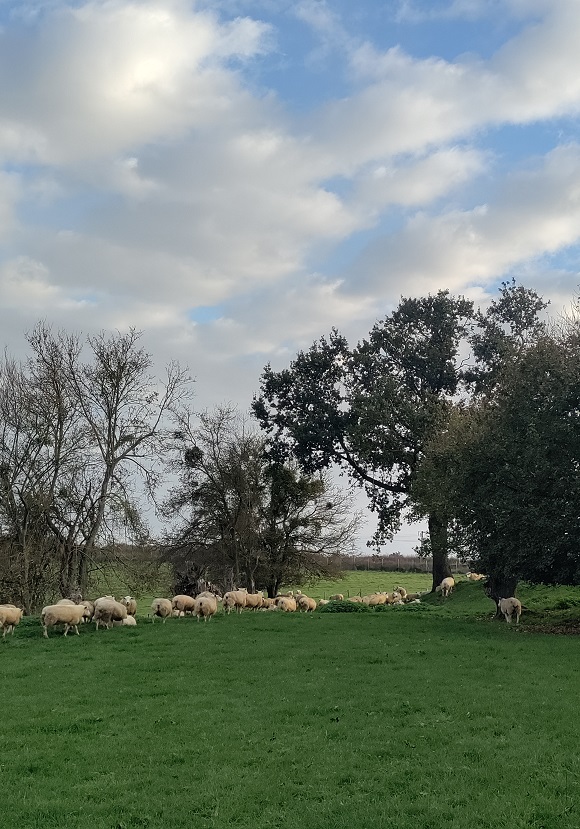 Centrale de Villeneuve